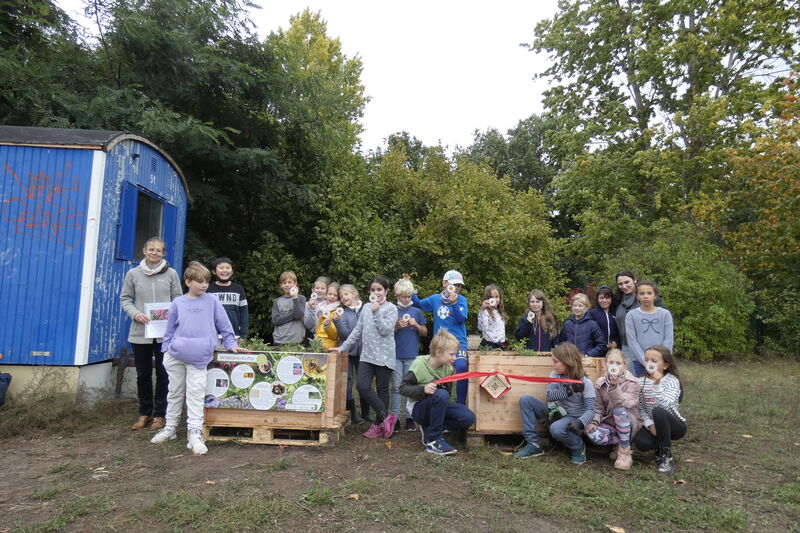 Teilnehmende Grundschulen Berlin Wildbienenbuffets für Grundschulen Teilnehmende Grundschulen Berlin Wildbienenbuffets für Grundschulen